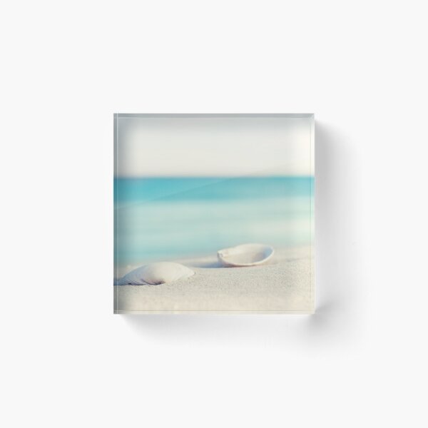 Seashell Beach Ocean Photography Acrylic Block