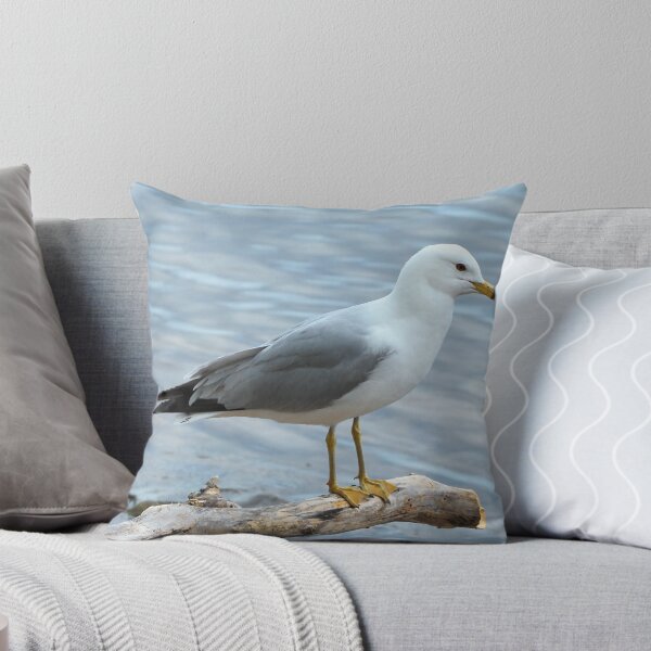 Item preview, Gaviota posada en un tronco junto al agua designed and sold by BackyardBirder.