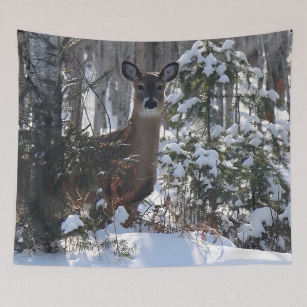 Artikelvorschau, Hirsch im Winter entworfen und verkauft von passion4photos.