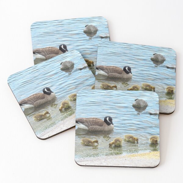 Item preview, Los gansos son vigilados por sus padres designed and sold by BackyardBirder.