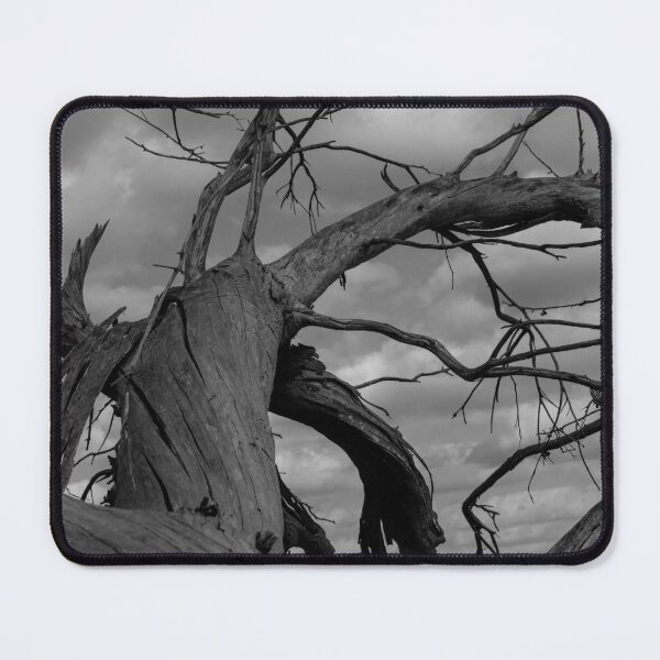 Item preview, Branching Out! designed and sold by Kate4721.