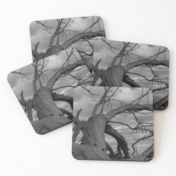 Item preview, Branching Out! designed and sold by Kate4721.