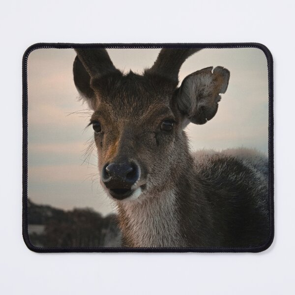Item preview, Young male Rusa deer. designed and sold by Kate4721.