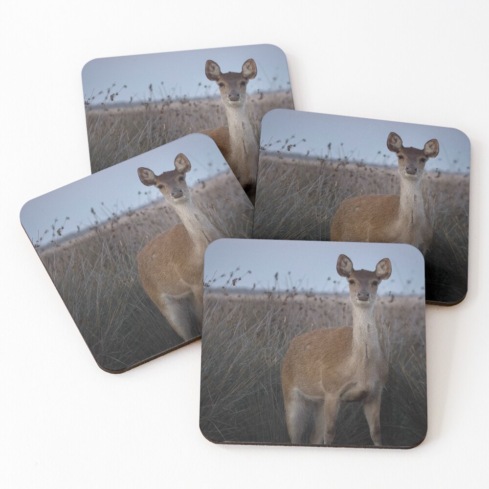 Item preview, Coasters (Set of 4) designed and sold by Kate4721.