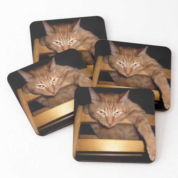 Item preview, Ginger Cat Just Hanging Around designed and sold by Frankie Cat Photography.