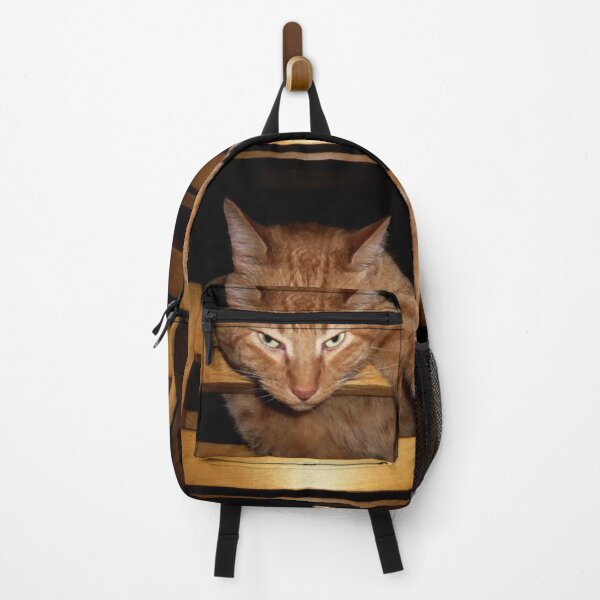 Item preview, Ginger Cat Just Hanging Around designed and sold by Frankie Cat Photography.