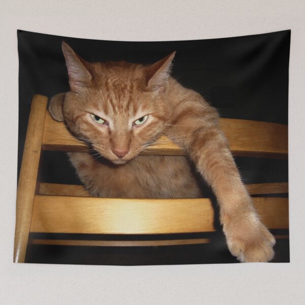 Item preview, Ginger Cat Just Hanging Around designed and sold by Frankie Cat Photography.