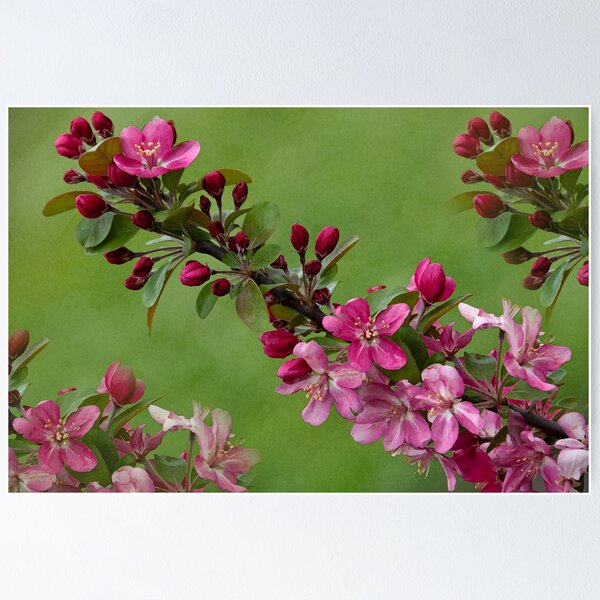 Item preview, Beautiful Branches designed and sold by Bonnie T.  Barry.