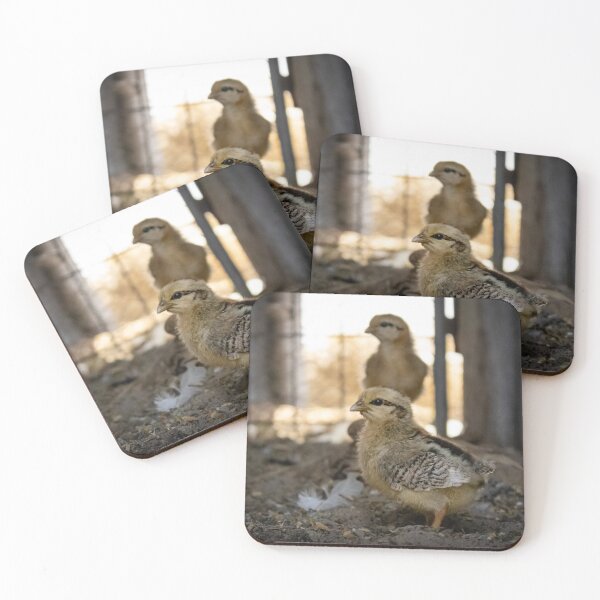 Item preview, Baby Chicks. designed and sold by Kate4721.