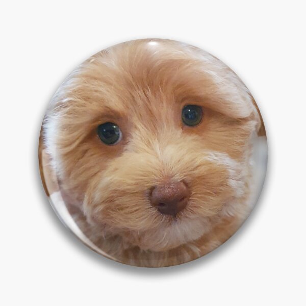 Item preview, Happiness is a Warm Puppy  designed and sold by JessicaKeegan.
