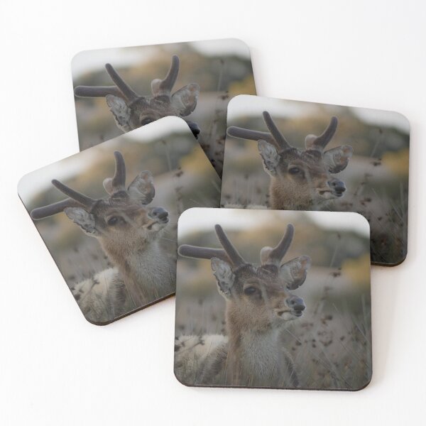 Item preview, Young Male Rusa Deer Among the Bullrushes. designed and sold by Kate4721.