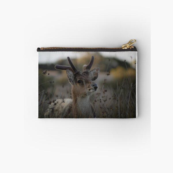 Item preview, Young Male Rusa Deer Among the Bullrushes. designed and sold by Kate4721.