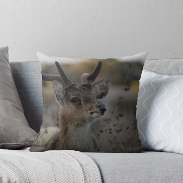 Item preview, Young Male Rusa Deer Among the Bullrushes. designed and sold by Kate4721.