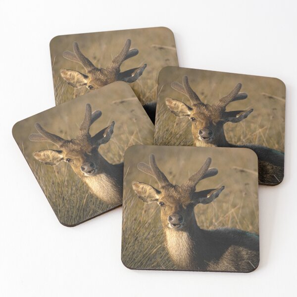 Item preview, Moody deer portrait. designed and sold by Kate4721.
