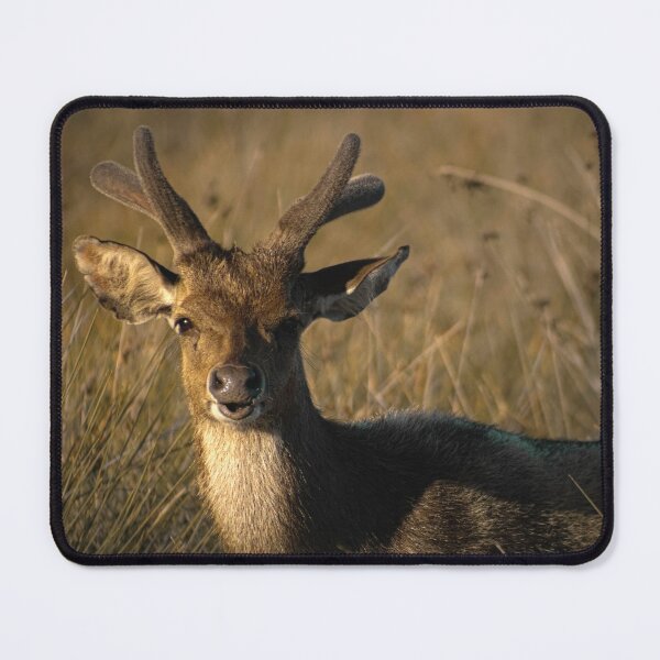 Item preview, Retrato de ciervo de mal humor. designed and sold by Kate4721.