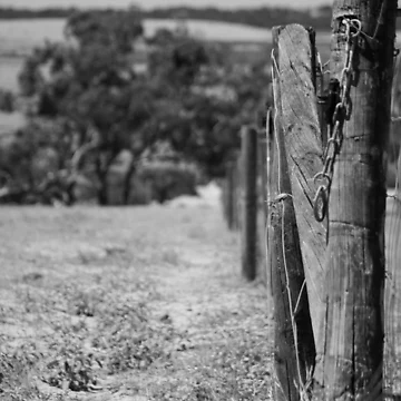 Artwork thumbnail, Fenced In. by Kate4721