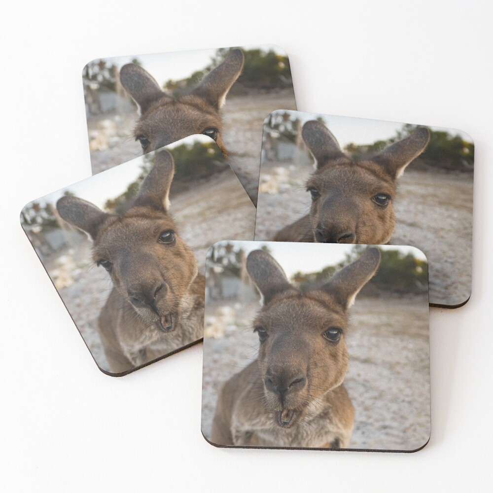Item preview, Coasters (Set of 4) designed and sold by Kate4721.