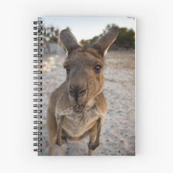 Item preview, The Cheeky Roo. designed and sold by Kate4721.