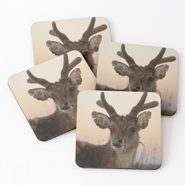 Item preview, Hermoso ciervo con fondo de puesta de sol. designed and sold by Kate4721.