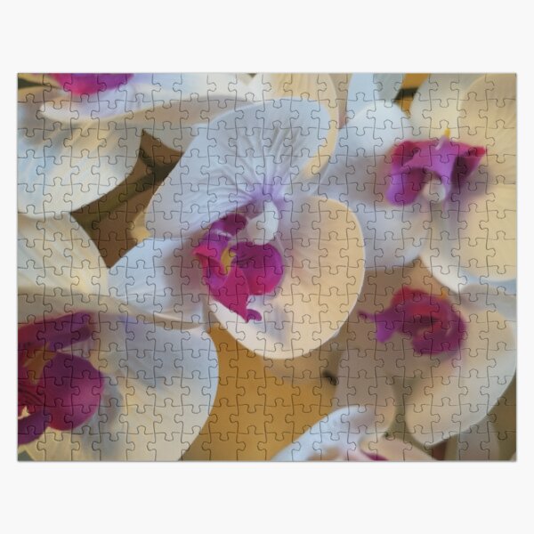 Artikel-Vorschau von Orchidee, designt und verkauft von Zlatko1.