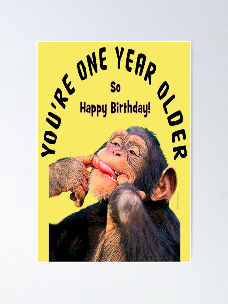 Silly Monkey Birthday Wish