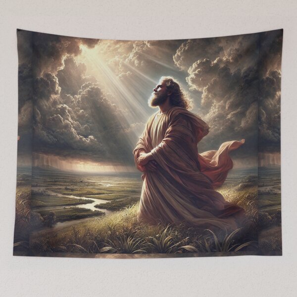 Item preview, "But Noah Found Grace in the Eyes of the Lord" – Divine Favor Amidst Corruption Verse: Genesis 6:8 (KJV) designed and sold by Meta2Physical.