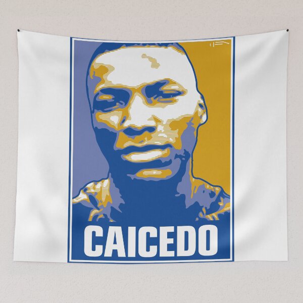 Aperçu de l'œuvre Caicedo-CHE créée et vendue par DFA.