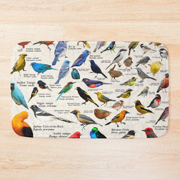 Item preview, songbirds of the americas designed and sold by wesleykshaver.