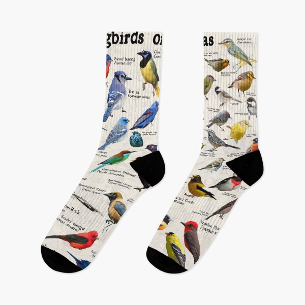 Item preview, songbirds of the americas designed and sold by wesleykshaver.