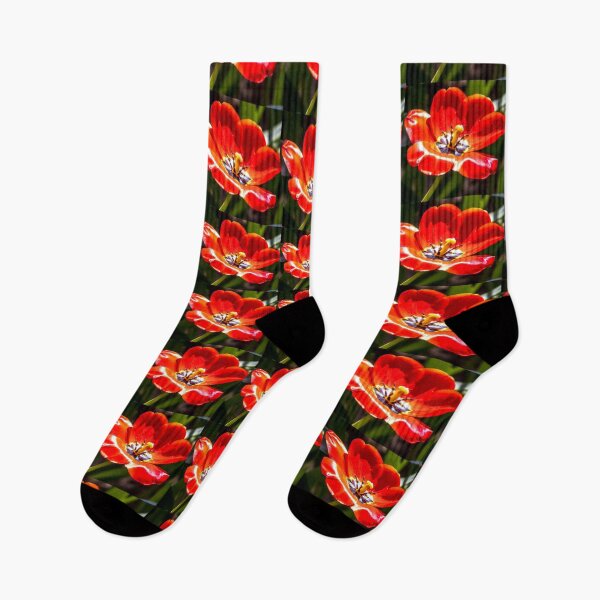 Artikelvorschau, Rote Tulpen Muster entworfen und verkauft von Patternflower.