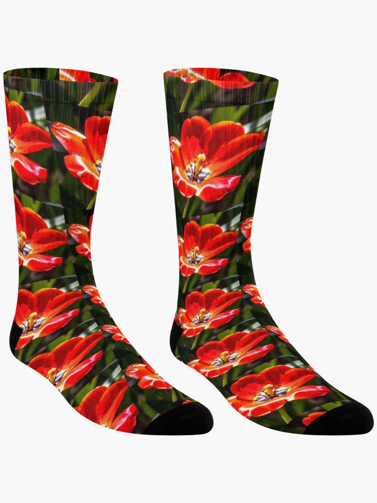 Thumbnail 3 of 5, Socks, Red Tulips Pattern designed and sold by Patternflower.
