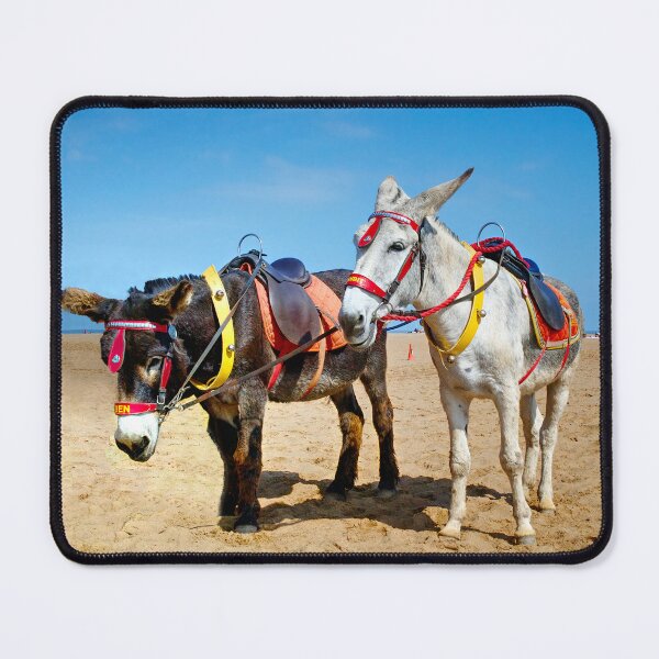 Item preview, Skegness Donkeys designed and sold by Alisonchambers2.