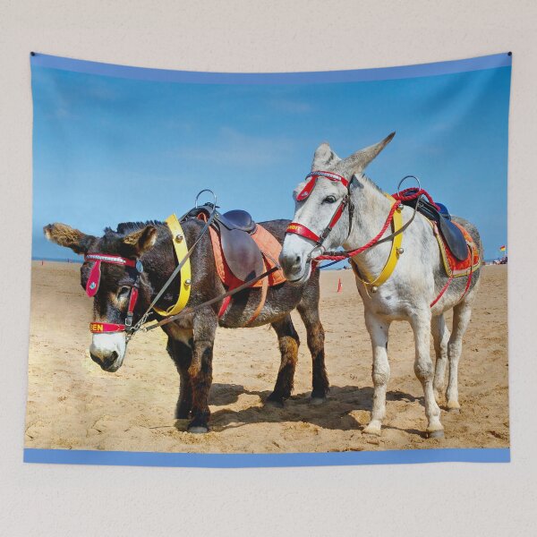 Item preview, Skegness Donkeys designed and sold by Alisonchambers2.