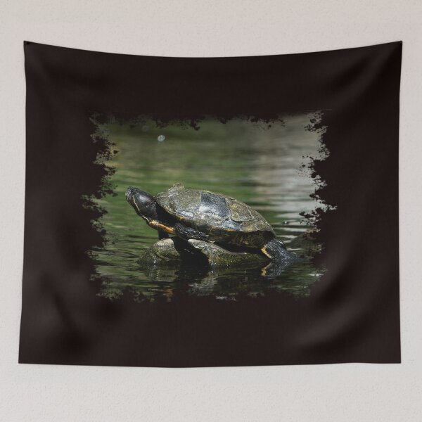Item preview, Turtle designed and sold by Nicole Gath.