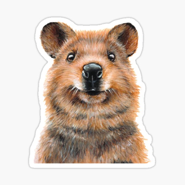 Quokka Sticker