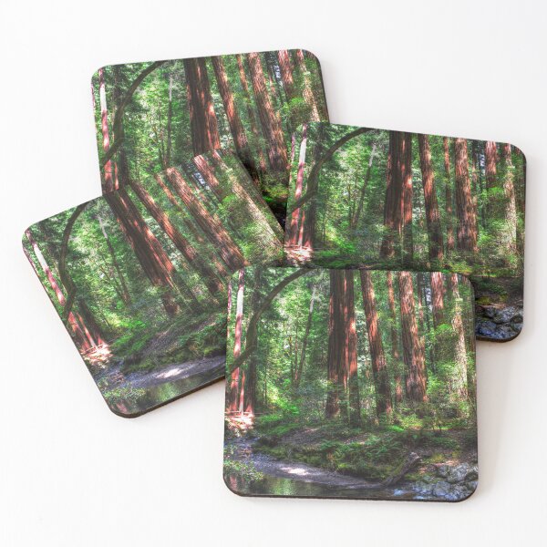 Item preview, Sunlight Reaches the Forest Floor Muir Woods designed and sold by Wayne King.