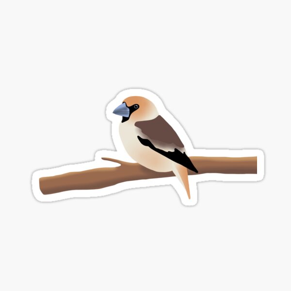 Item preview, grosbeak designed and sold by Yaya_dessin.