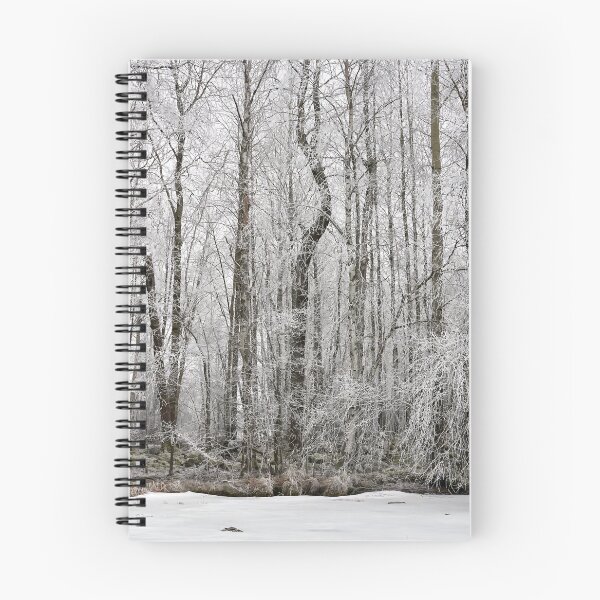 Item preview, White Jungle. Pyhajarvi winter 2025 5 designed and sold by Jouko Lehto Photography.