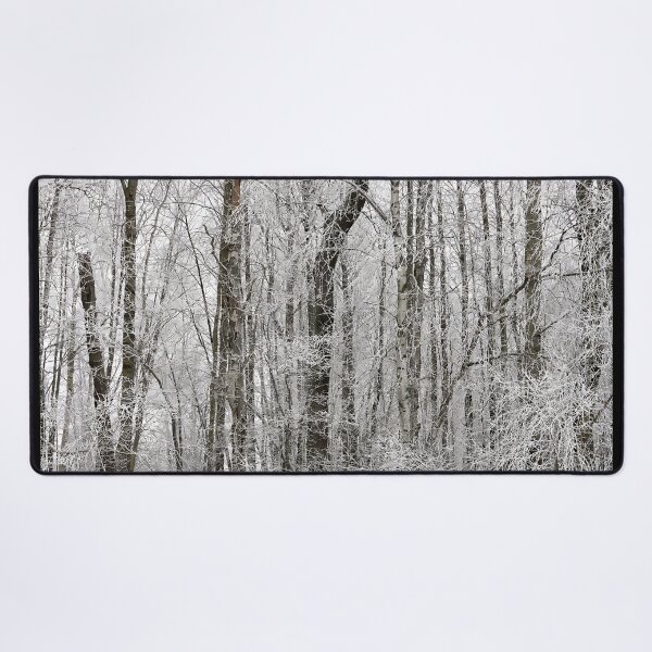 Item preview, White Jungle. Pyhajarvi winter 2025 5 designed and sold by Jouko Lehto Photography.