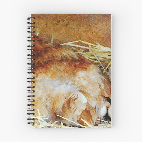 Item preview, Watercolor painting of a hen nesting with eggs in a straw bed designed and sold by GestaltImagery.