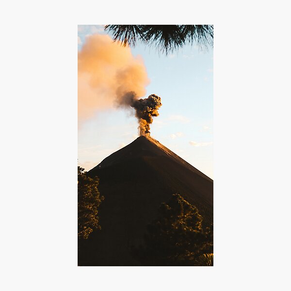 Photographic Print