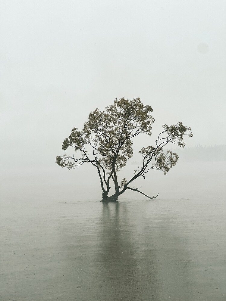Thumbnail 3 of 3, Poster, That Wānaka Tree Photography in Lake Wānaka designed and sold by Ibitiraquire.