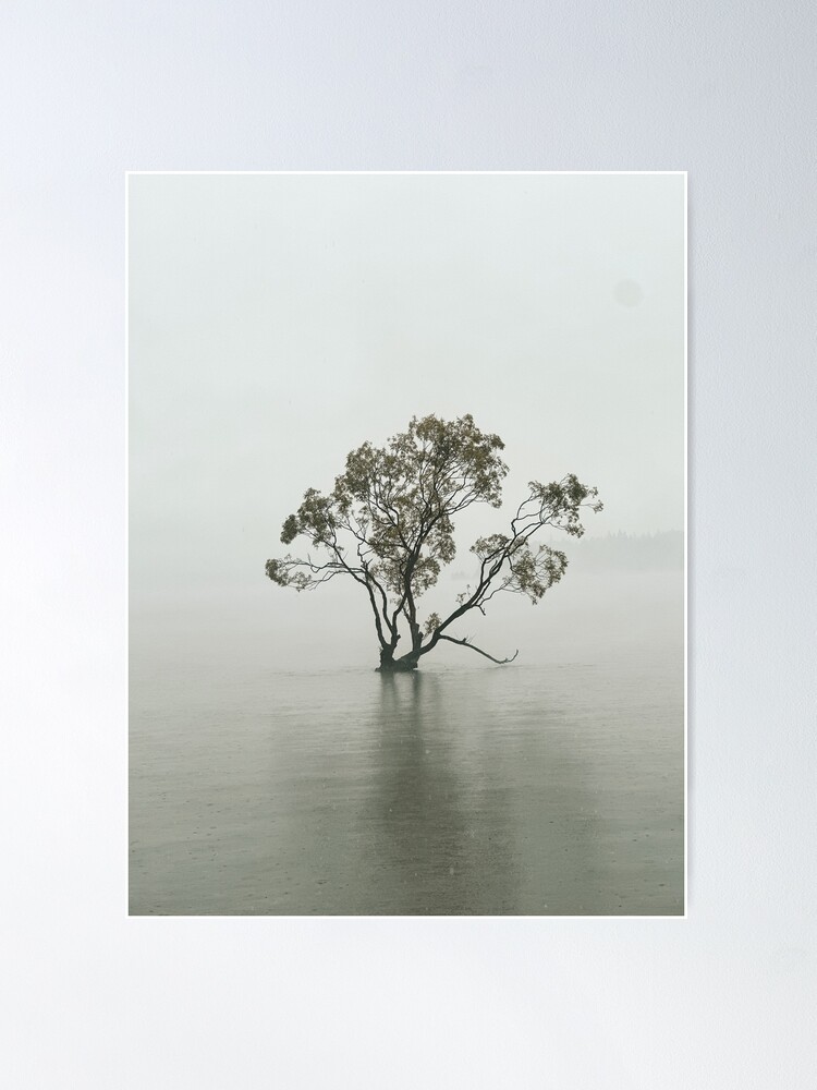 Thumbnail 2 of 3, Poster, That Wānaka Tree Photography in Lake Wānaka designed and sold by Ibitiraquire.