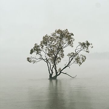 Artwork thumbnail, That Wānaka Tree Photography in Lake Wānaka by Ibitiraquire