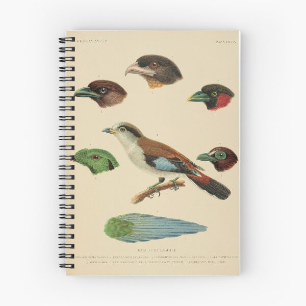 Item preview, Classical Zoological Ornithology Illustration designed and sold by InnerCitadel.