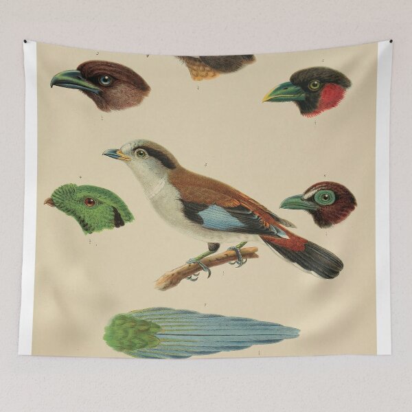 Item preview, Classical Zoological Ornithology Illustration designed and sold by InnerCitadel.