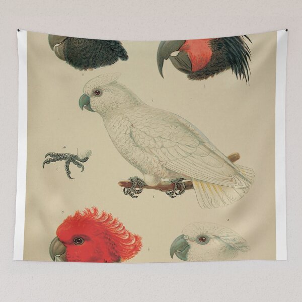 Item preview, Vintage Cockatoo Ornithology Zoological Illustration designed and sold by InnerCitadel.