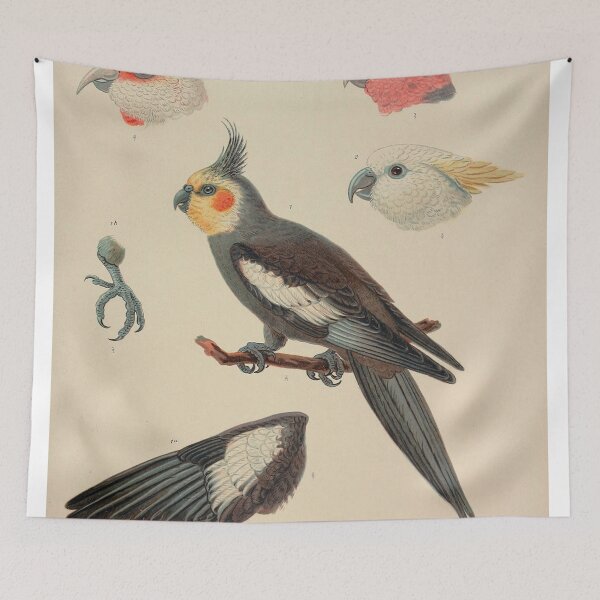 Item preview, Vintage Cockatoo Ornithology Zoological Illustration designed and sold by InnerCitadel.