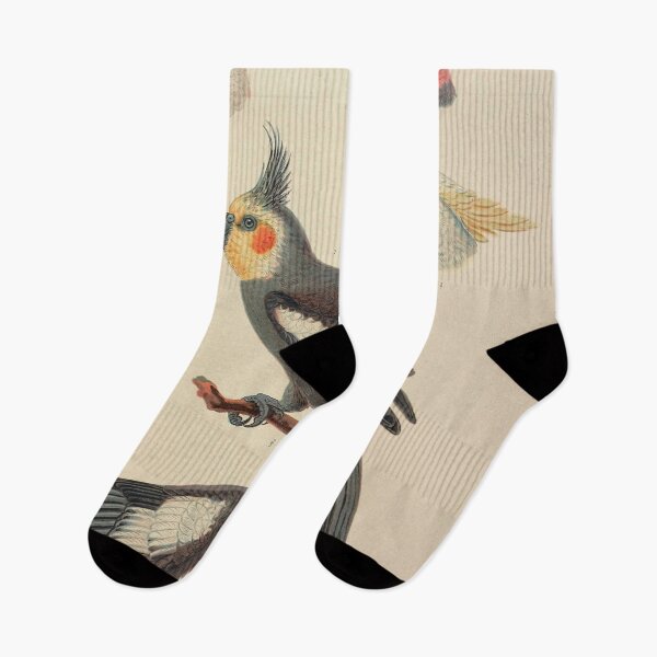 Item preview, Vintage Cockatoo Ornithology Zoological Illustration designed and sold by InnerCitadel.