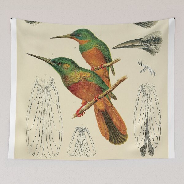 Item preview, Vintage Jacamar Ornithology Zoological Illustration designed and sold by InnerCitadel.
